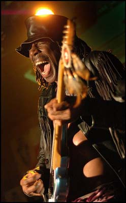 Tony Springer Wild T and the Spirit guitarist