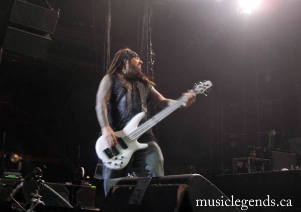 Korn Fieldy