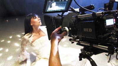 Forest Cobalt photo shoot