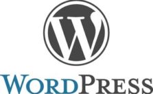 WordPress clean logo