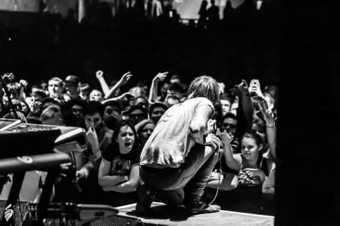 Chiodos Palladium Worcester