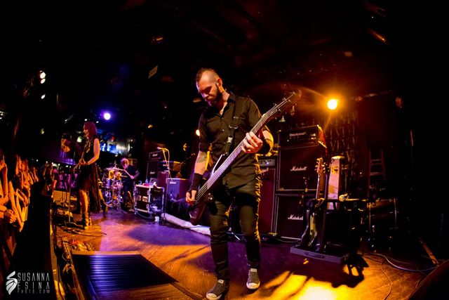 Stars in Stereo bassist live